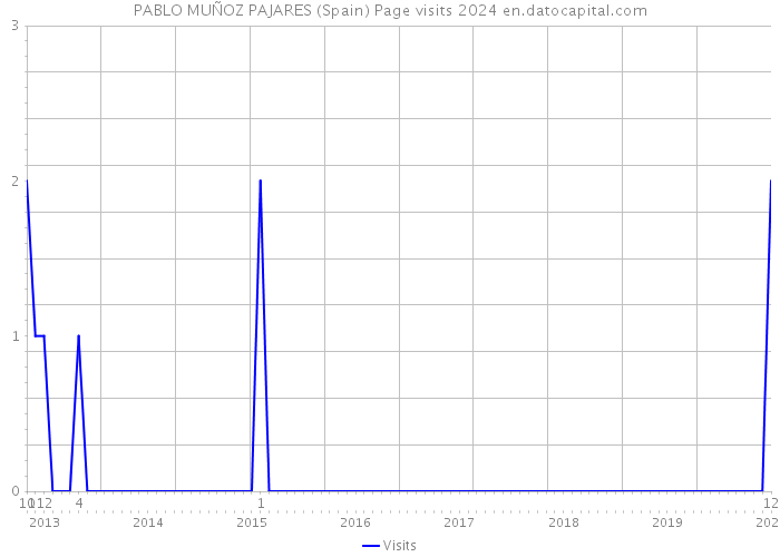 PABLO MUÑOZ PAJARES (Spain) Page visits 2024 