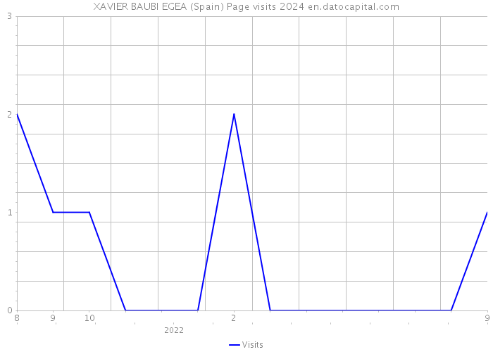 XAVIER BAUBI EGEA (Spain) Page visits 2024 