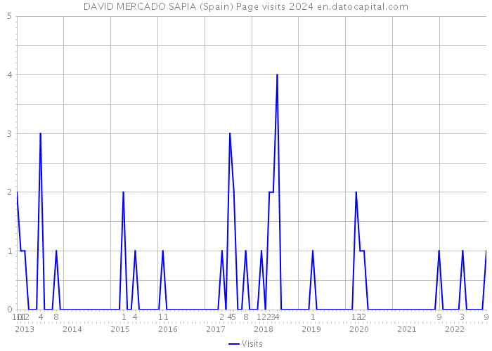 DAVID MERCADO SAPIA (Spain) Page visits 2024 