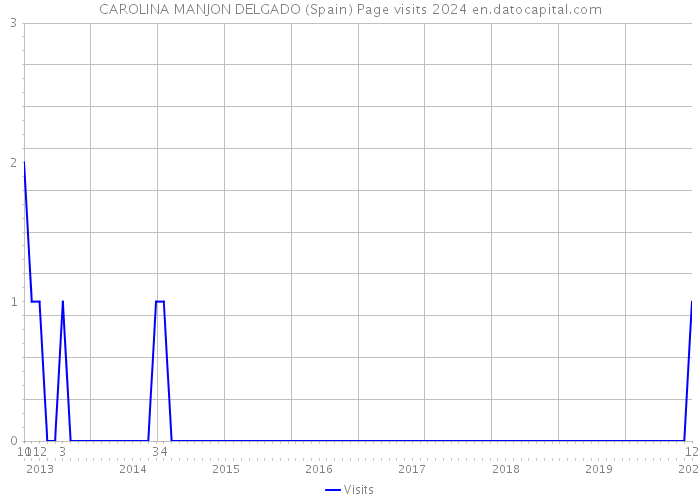 CAROLINA MANJON DELGADO (Spain) Page visits 2024 