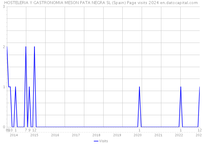 HOSTELERIA Y GASTRONOMIA MESON PATA NEGRA SL (Spain) Page visits 2024 