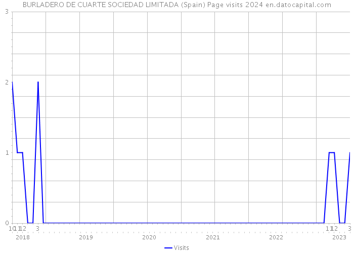 BURLADERO DE CUARTE SOCIEDAD LIMITADA (Spain) Page visits 2024 