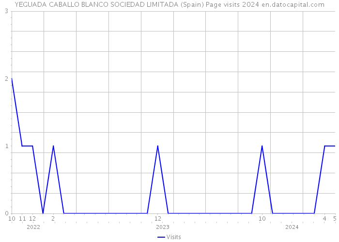 YEGUADA CABALLO BLANCO SOCIEDAD LIMITADA (Spain) Page visits 2024 