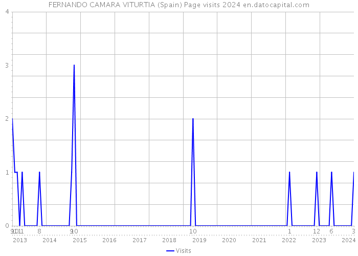 FERNANDO CAMARA VITURTIA (Spain) Page visits 2024 