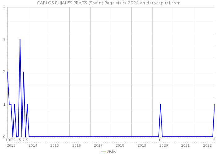 CARLOS PUJALES PRATS (Spain) Page visits 2024 