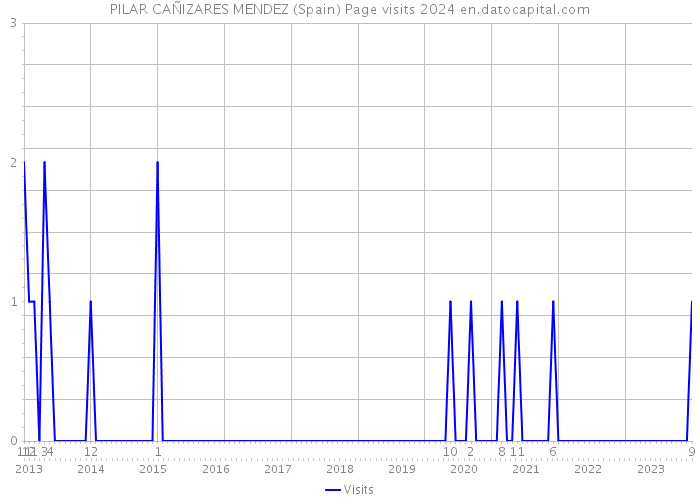 PILAR CAÑIZARES MENDEZ (Spain) Page visits 2024 