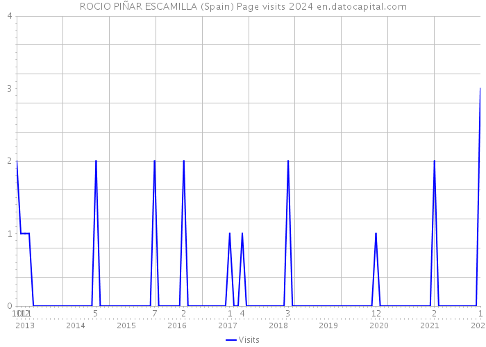 ROCIO PIÑAR ESCAMILLA (Spain) Page visits 2024 