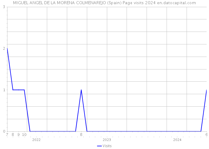 MIGUEL ANGEL DE LA MORENA COLMENAREJO (Spain) Page visits 2024 