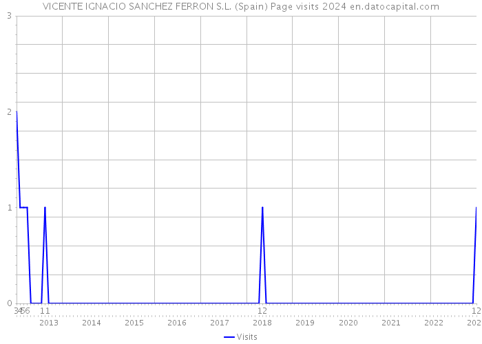 VICENTE IGNACIO SANCHEZ FERRON S.L. (Spain) Page visits 2024 