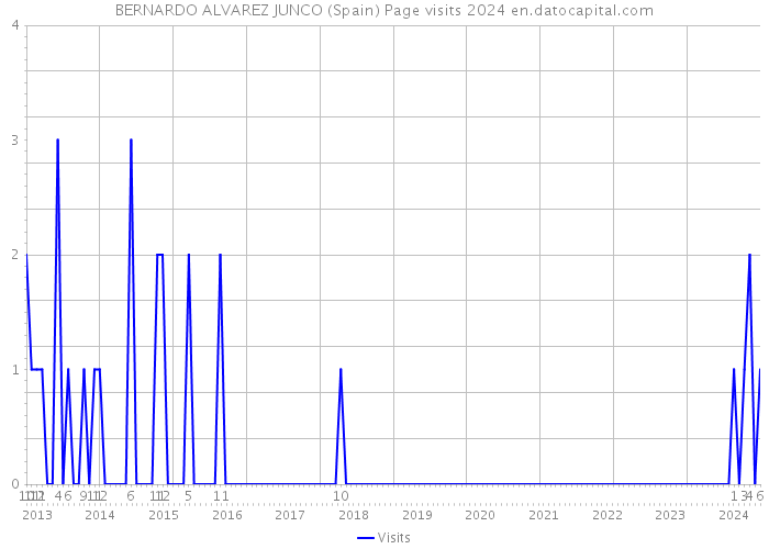 BERNARDO ALVAREZ JUNCO (Spain) Page visits 2024 