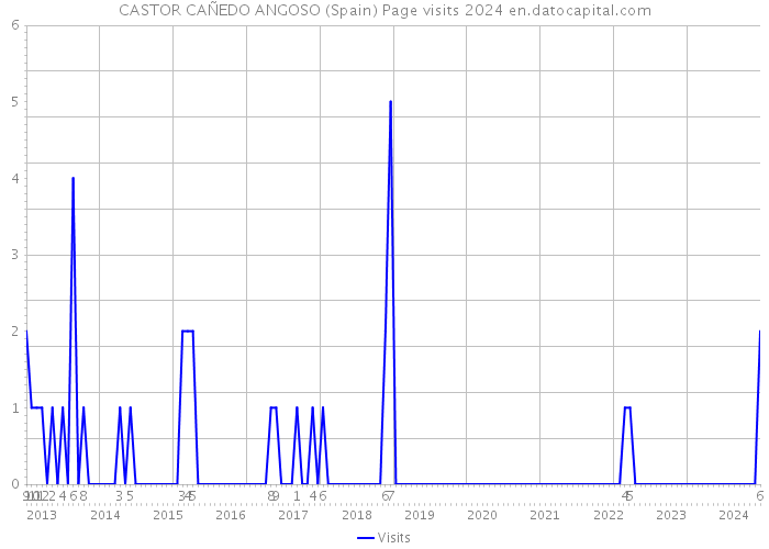 CASTOR CAÑEDO ANGOSO (Spain) Page visits 2024 