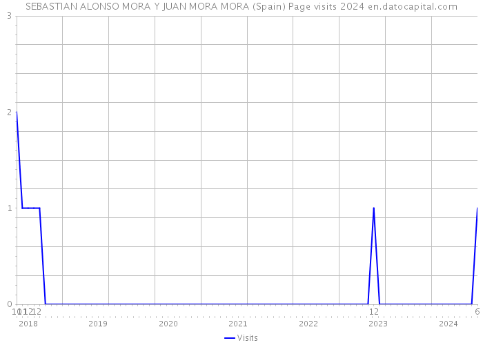 SEBASTIAN ALONSO MORA Y JUAN MORA MORA (Spain) Page visits 2024 