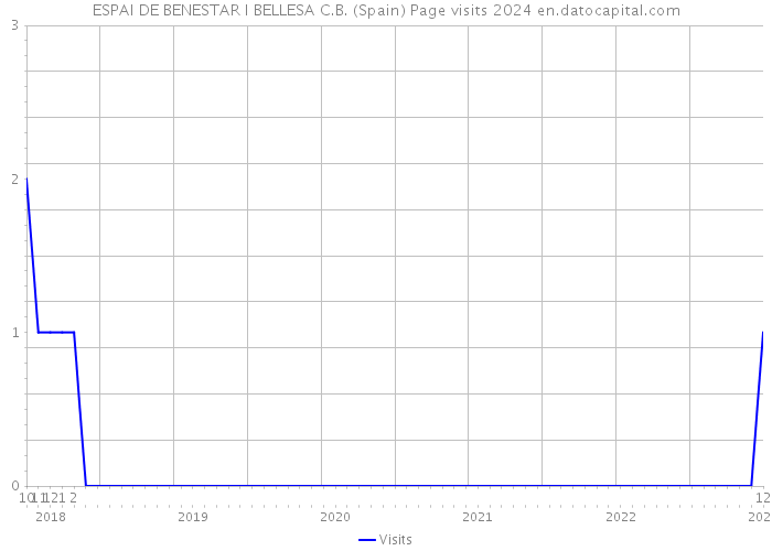 ESPAI DE BENESTAR I BELLESA C.B. (Spain) Page visits 2024 