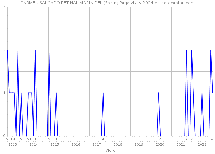 CARMEN SALGADO PETINAL MARIA DEL (Spain) Page visits 2024 