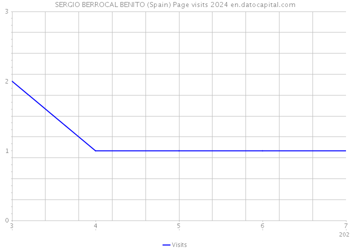 SERGIO BERROCAL BENITO (Spain) Page visits 2024 