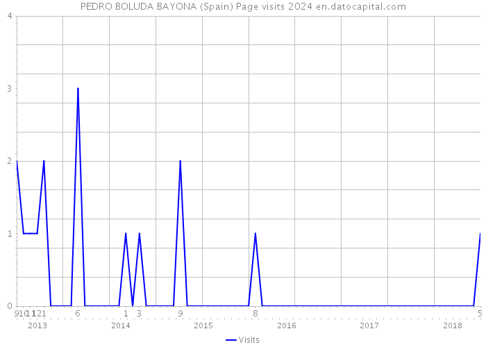 PEDRO BOLUDA BAYONA (Spain) Page visits 2024 