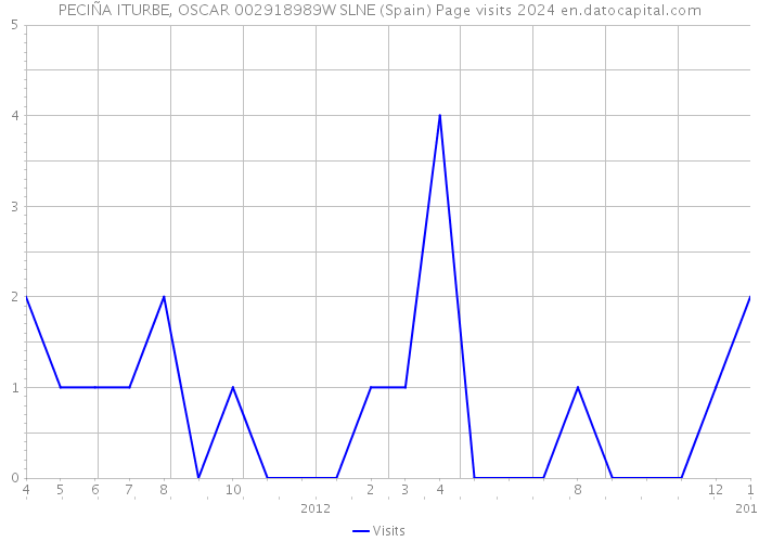 PECIÑA ITURBE, OSCAR 002918989W SLNE (Spain) Page visits 2024 