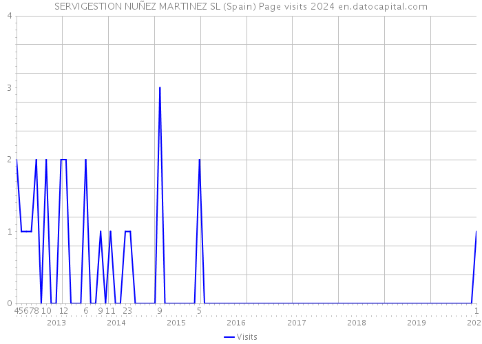 SERVIGESTION NUÑEZ MARTINEZ SL (Spain) Page visits 2024 