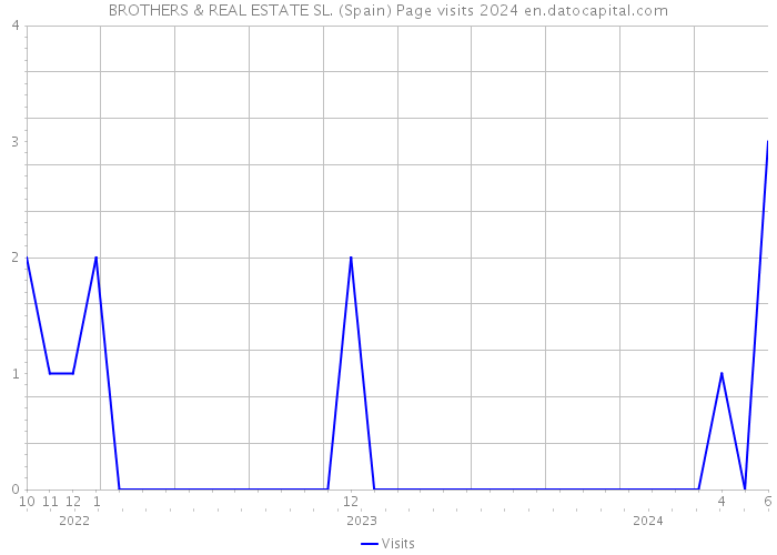 BROTHERS & REAL ESTATE SL. (Spain) Page visits 2024 