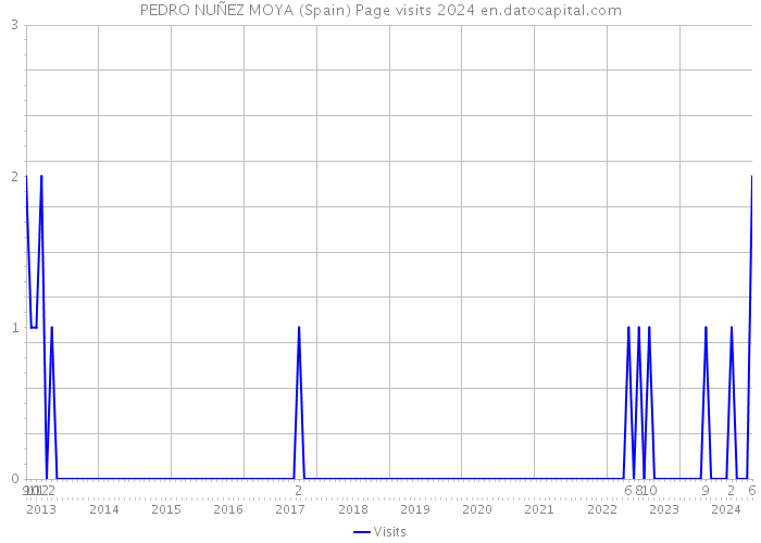 PEDRO NUÑEZ MOYA (Spain) Page visits 2024 