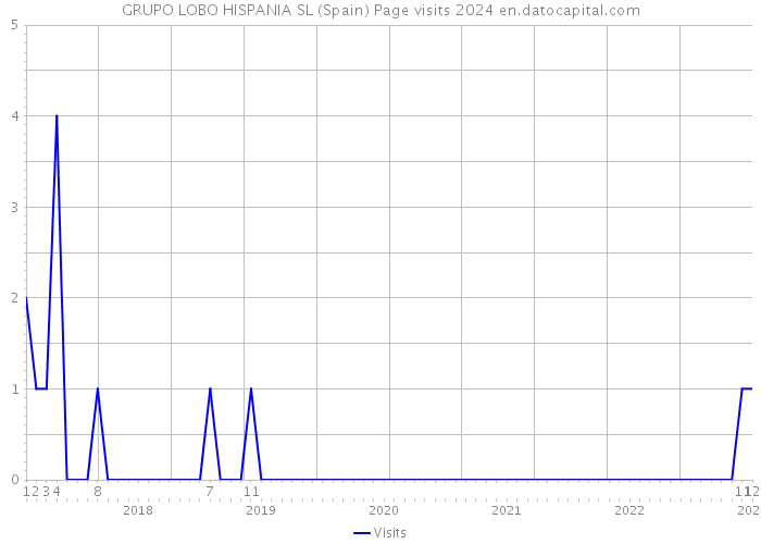 GRUPO LOBO HISPANIA SL (Spain) Page visits 2024 