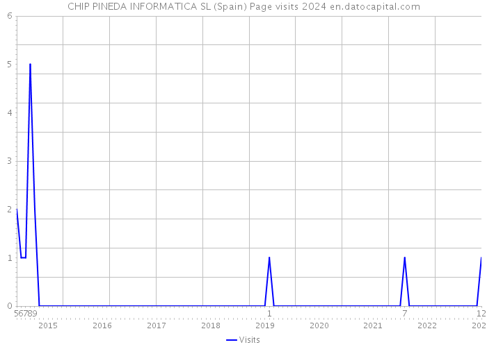 CHIP PINEDA INFORMATICA SL (Spain) Page visits 2024 