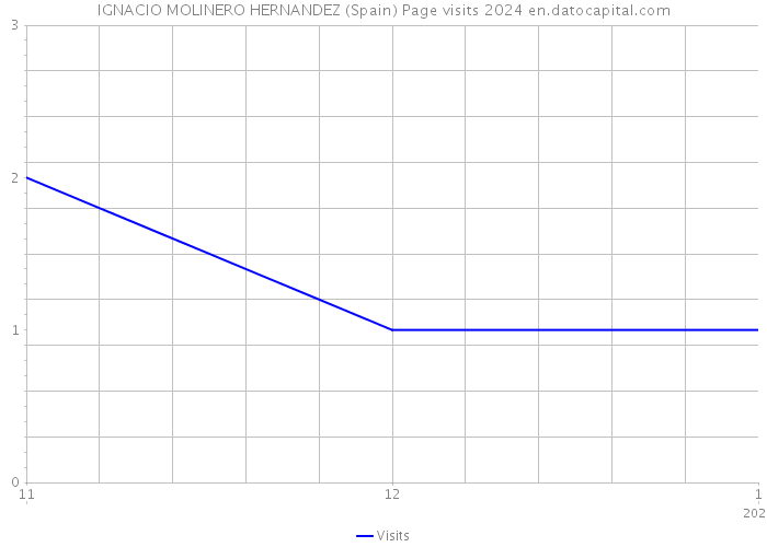 IGNACIO MOLINERO HERNANDEZ (Spain) Page visits 2024 