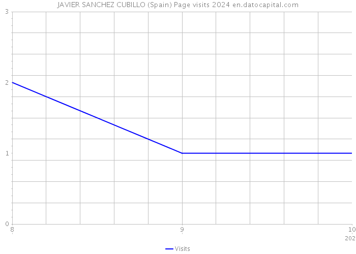 JAVIER SANCHEZ CUBILLO (Spain) Page visits 2024 