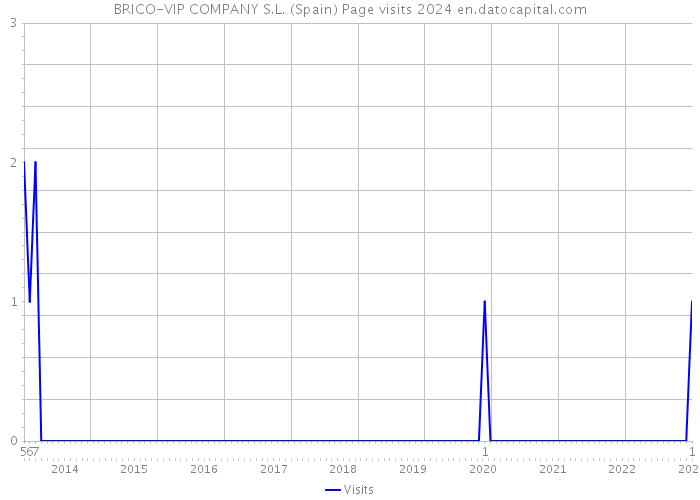 BRICO-VIP COMPANY S.L. (Spain) Page visits 2024 