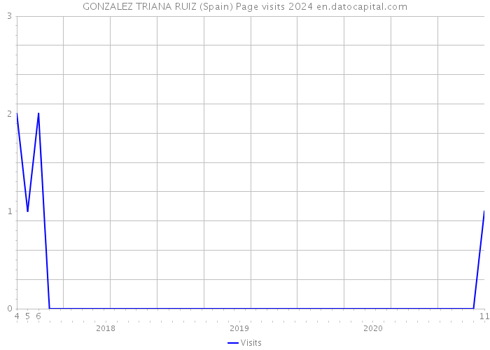 GONZALEZ TRIANA RUIZ (Spain) Page visits 2024 