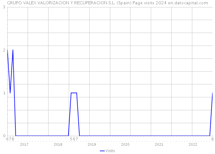 GRUPO VALEX VALORIZACION Y RECUPERACION S.L. (Spain) Page visits 2024 