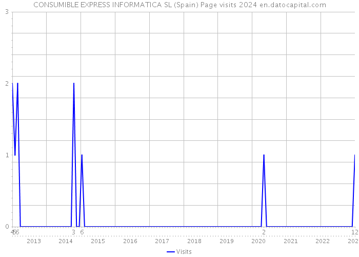 CONSUMIBLE EXPRESS INFORMATICA SL (Spain) Page visits 2024 