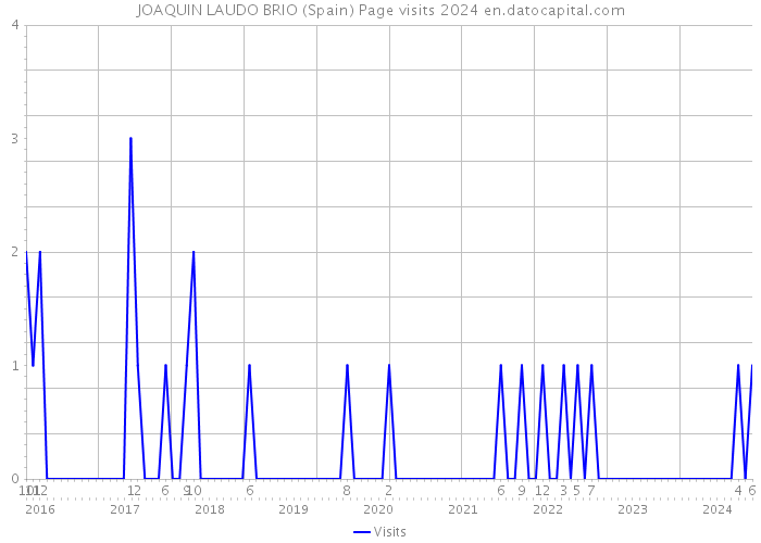 JOAQUIN LAUDO BRIO (Spain) Page visits 2024 