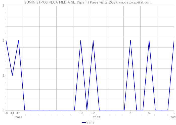 SUMINISTROS VEGA MEDIA SL. (Spain) Page visits 2024 