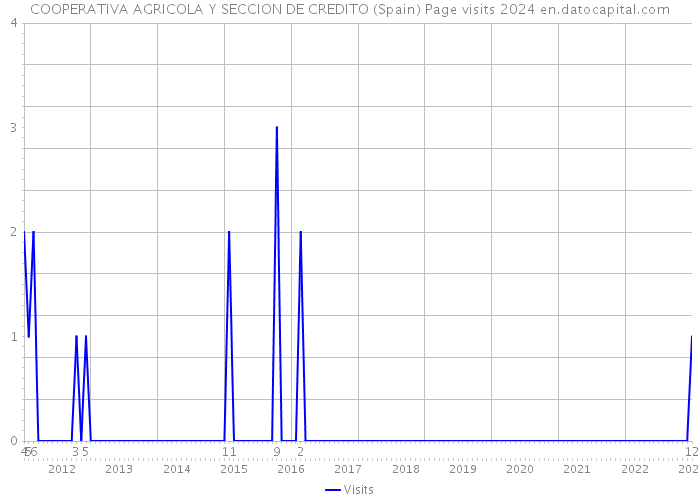 COOPERATIVA AGRICOLA Y SECCION DE CREDITO (Spain) Page visits 2024 