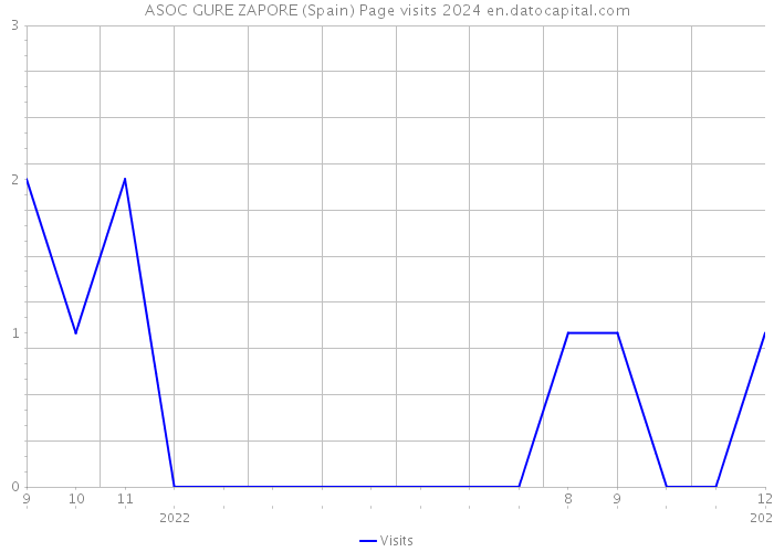 ASOC GURE ZAPORE (Spain) Page visits 2024 
