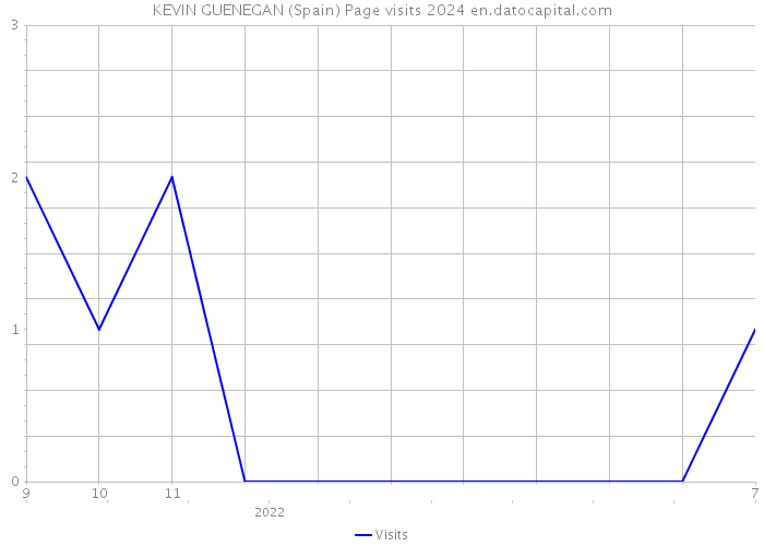KEVIN GUENEGAN (Spain) Page visits 2024 