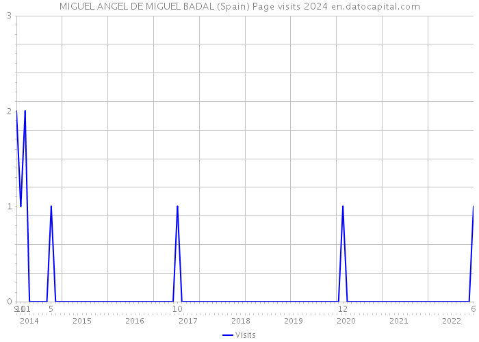 MIGUEL ANGEL DE MIGUEL BADAL (Spain) Page visits 2024 