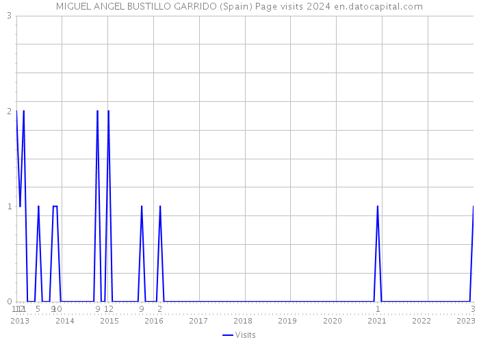 MIGUEL ANGEL BUSTILLO GARRIDO (Spain) Page visits 2024 