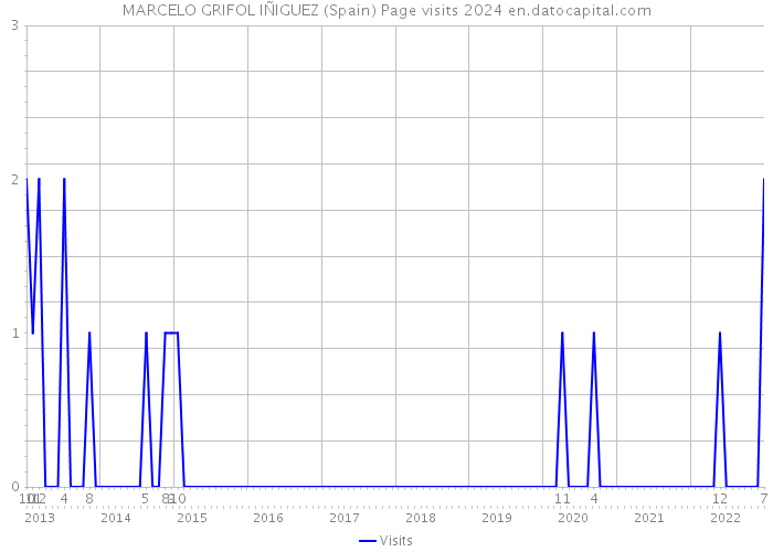 MARCELO GRIFOL IÑIGUEZ (Spain) Page visits 2024 