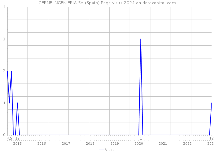 CERNE INGENIERIA SA (Spain) Page visits 2024 