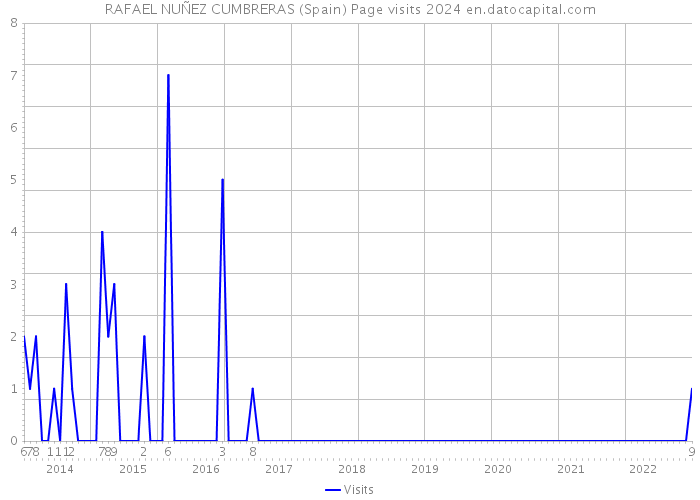 RAFAEL NUÑEZ CUMBRERAS (Spain) Page visits 2024 