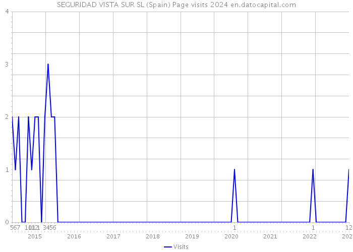 SEGURIDAD VISTA SUR SL (Spain) Page visits 2024 