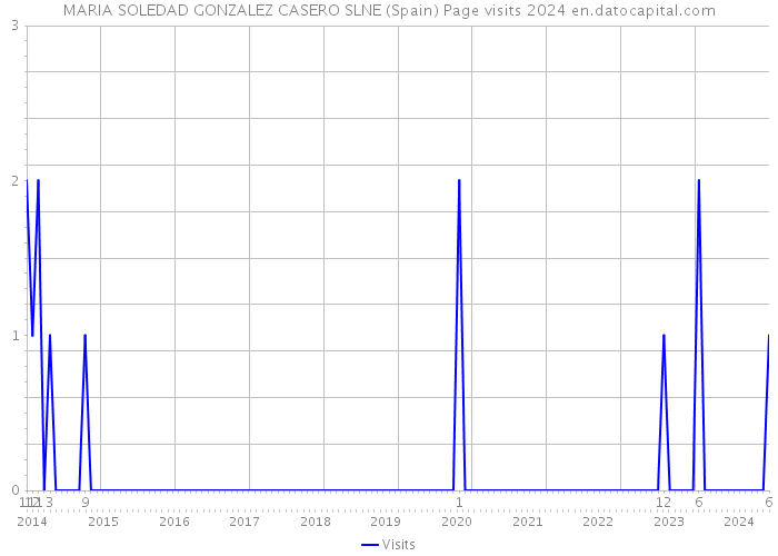 MARIA SOLEDAD GONZALEZ CASERO SLNE (Spain) Page visits 2024 