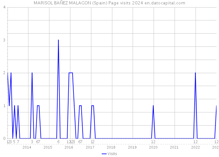 MARISOL BAÑEZ MALAGON (Spain) Page visits 2024 