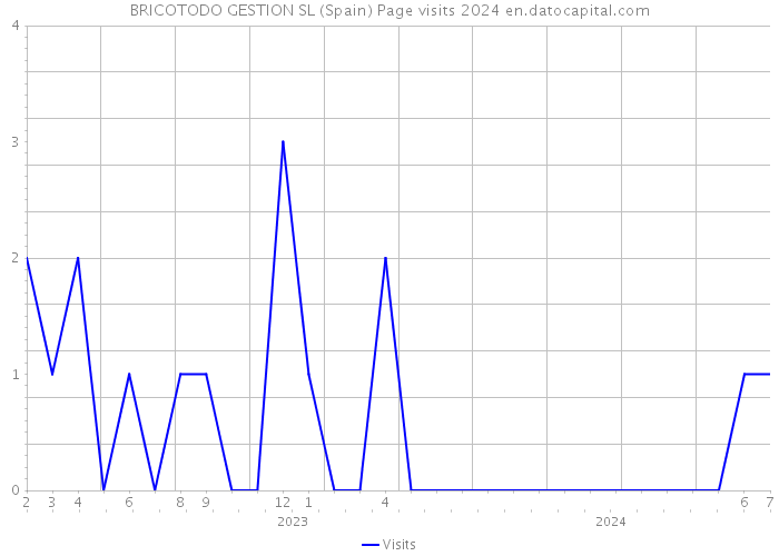 BRICOTODO GESTION SL (Spain) Page visits 2024 