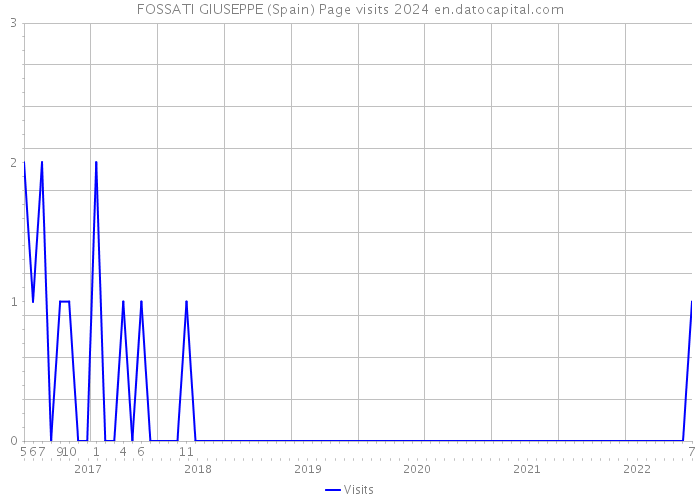 FOSSATI GIUSEPPE (Spain) Page visits 2024 