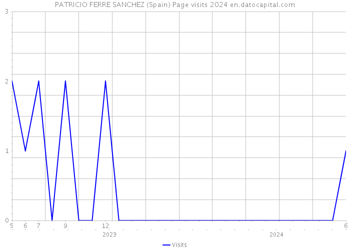 PATRICIO FERRE SANCHEZ (Spain) Page visits 2024 