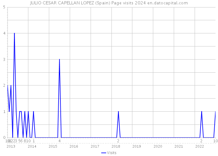 JULIO CESAR CAPELLAN LOPEZ (Spain) Page visits 2024 