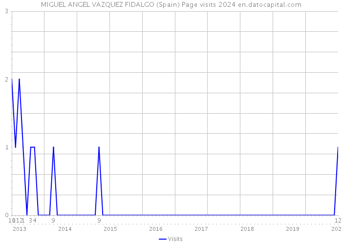 MIGUEL ANGEL VAZQUEZ FIDALGO (Spain) Page visits 2024 